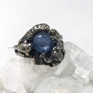 Frog Kyanite Ring, Size 9