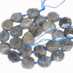 14mm Labradorite Gemstone Faceted Round Nugget Loose Beads 7.5 Inch Half Strand (80003319-b91)
