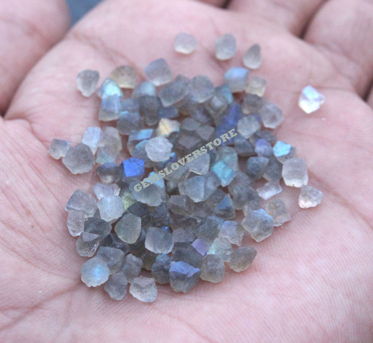 50 Tiny Rough Labradorite Gemstones: Natural Raw Blue Fire Crystals (2-4 Mm)