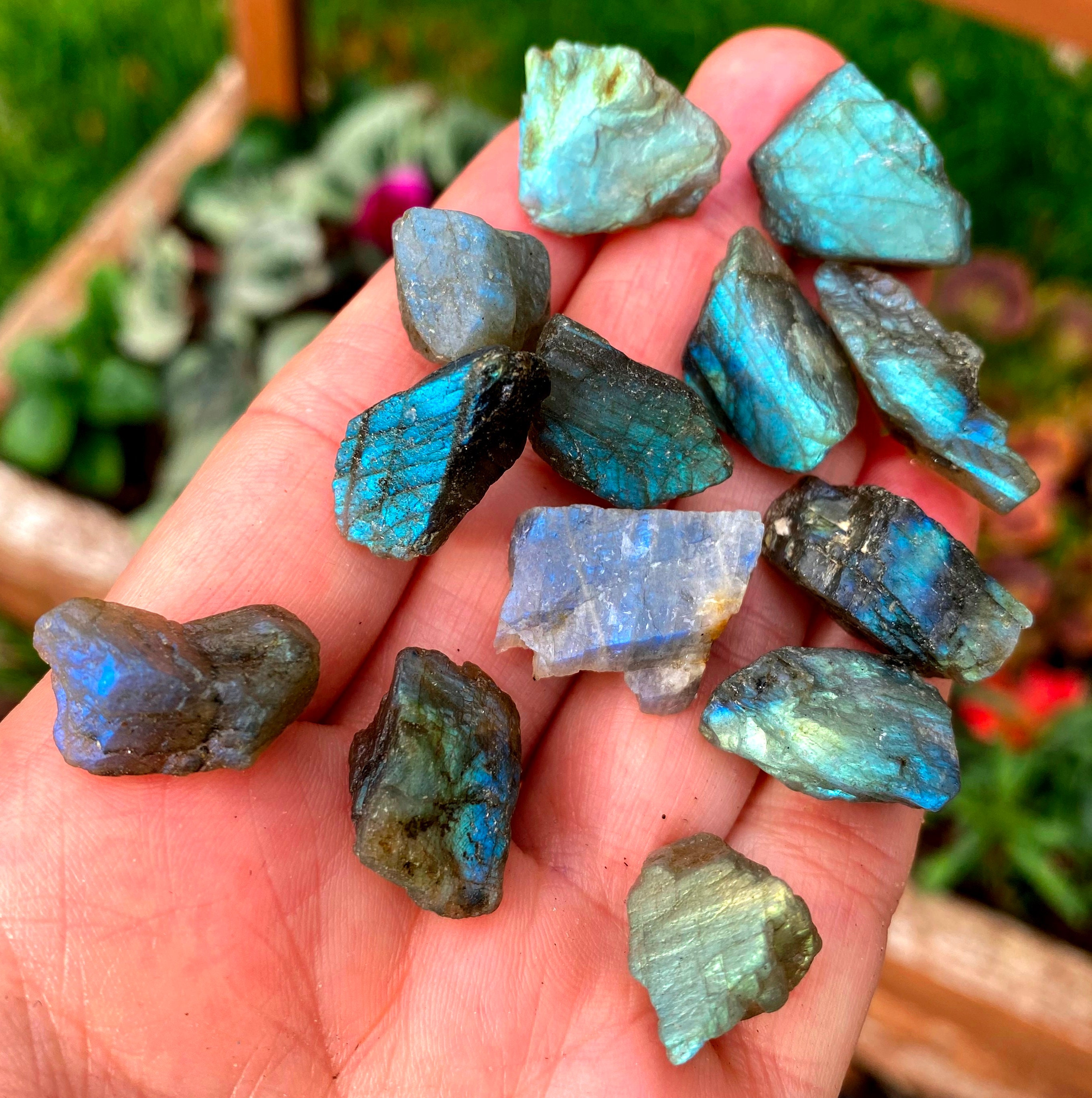 Raw Labradorite Rock Rough Flashy Blue Green Labradorite Crystals Healing Labradorite Super High Flash Raw Gemstones Natural Untreated Stone