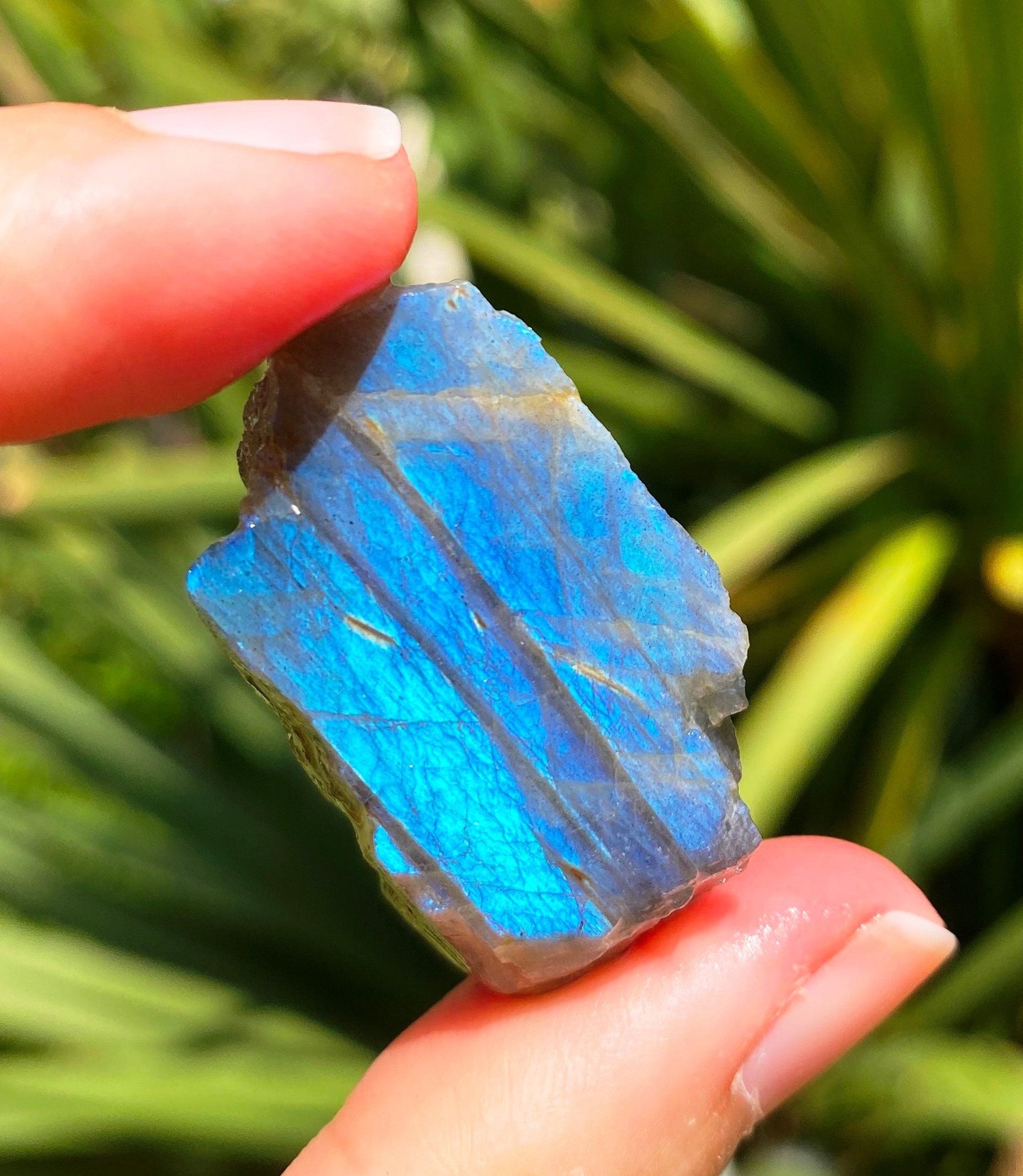 Raw Labardorite Gemstone To Qualify Colourplay Crystals Christmas Crystal Gift Labradorite Rough Stones Geology Gift Crystal Blue Green Gem