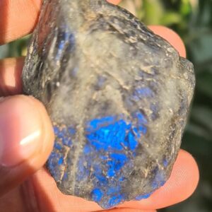 Natural Labradorite Blue Fire Rough, Rare Stone, Energy Healing Crystal 306 Carat