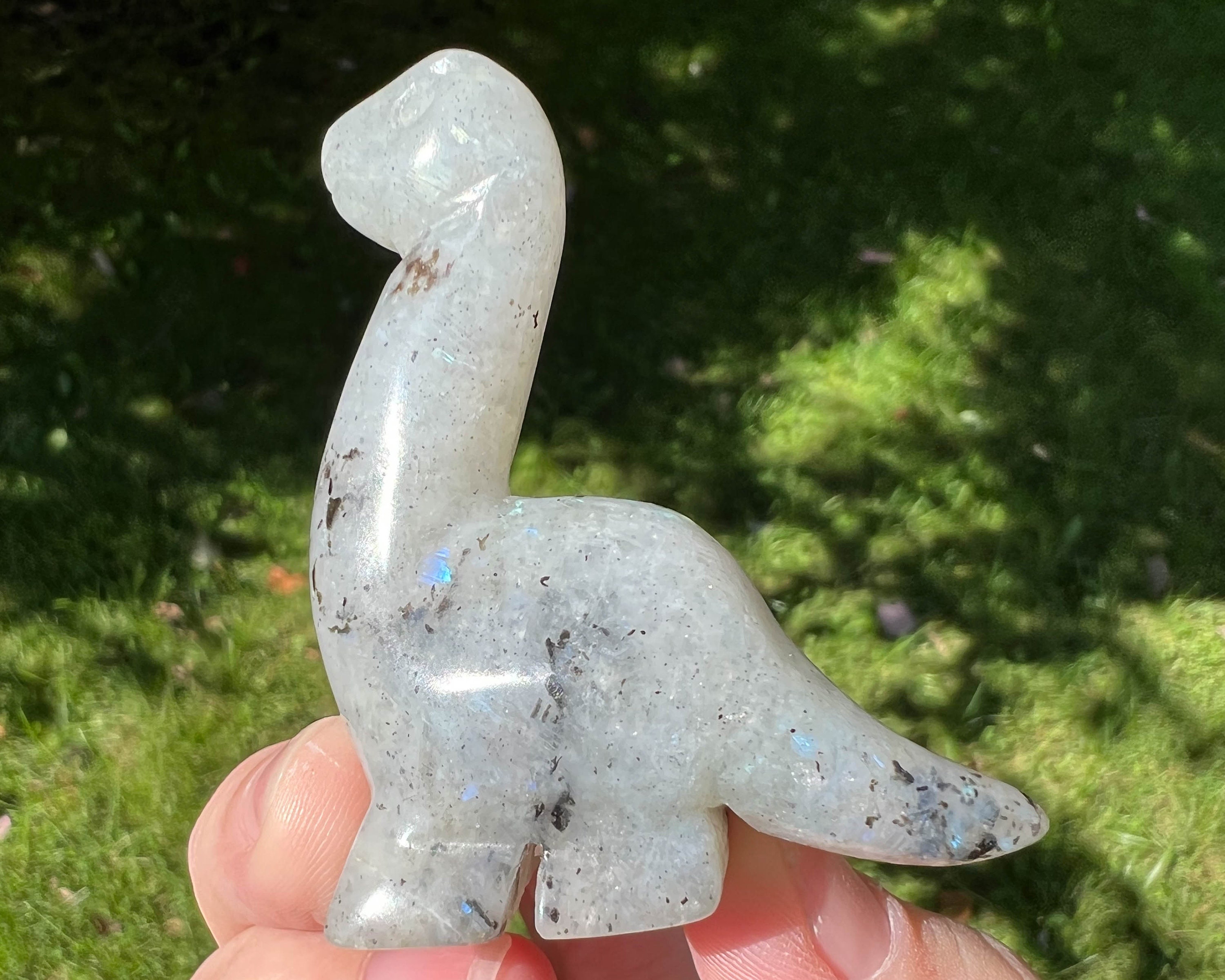 Crystal Dinosaur Figurine, Labradorite Dino, Brontosaurus, Small Dinosaur Carving, Home Decor, Adult Dino Decor, Gift For Kids, Boy Girl #1