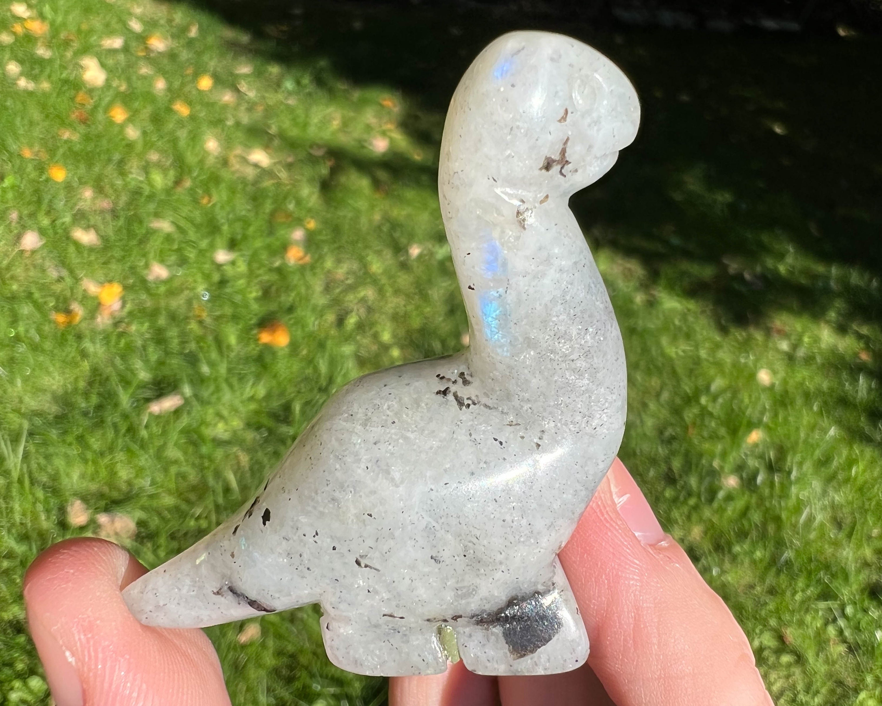 Crystal Dinosaur Figurine, Labradorite Dino, Brontosaurus, Small Dinosaur Carving, Home Decor, Adult Dino Decor, Gift For Kids, Boy Girl #3