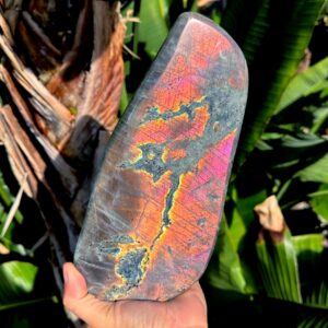 Flash Labradorite Free Form: Gold & Pink Healing Stone (6lb 13oz, 9.25" Tall)