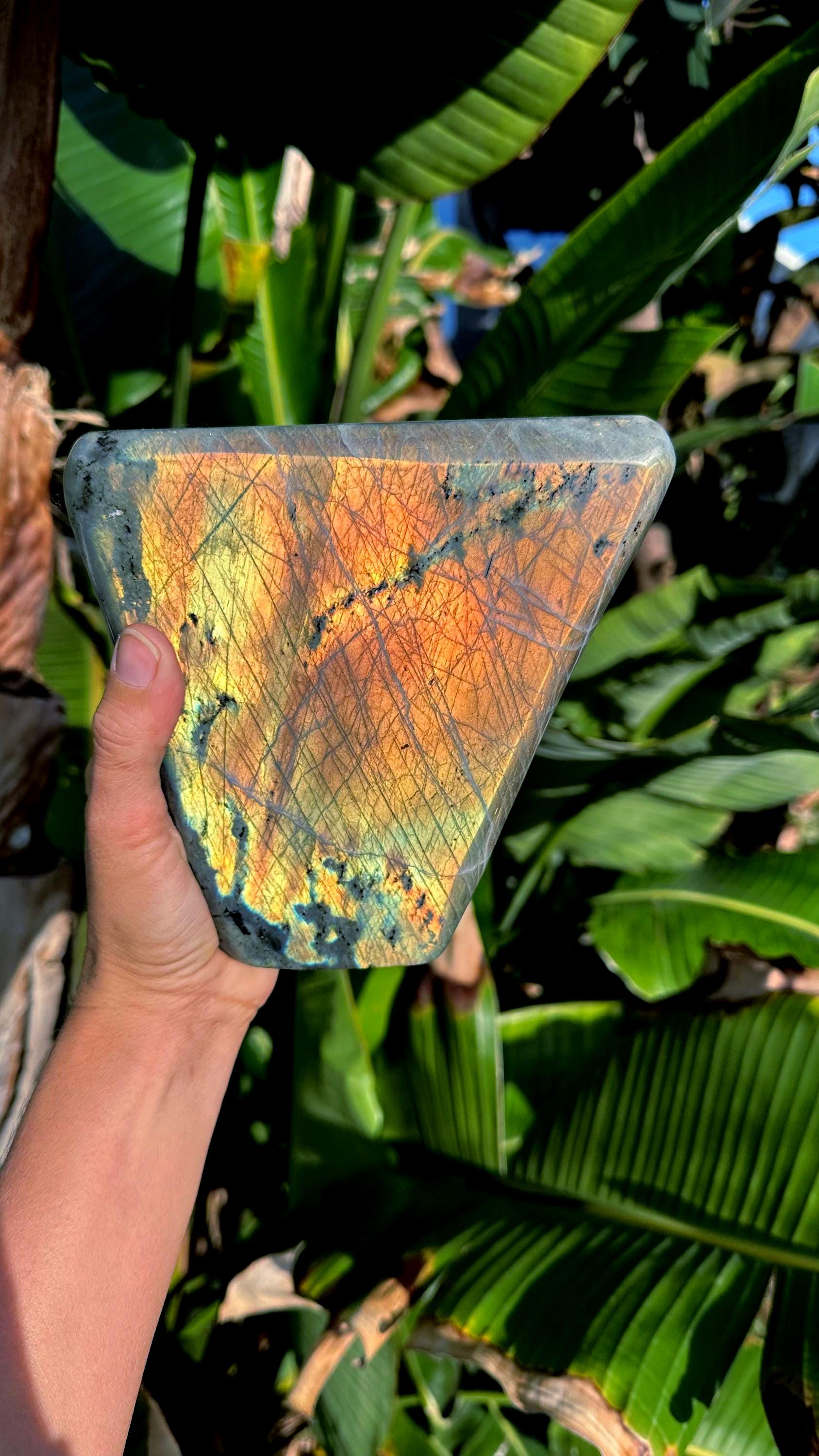 Flash Labradorite Free Form: Gold & Pink Healing Stone (4lb 9.1oz, 6”)