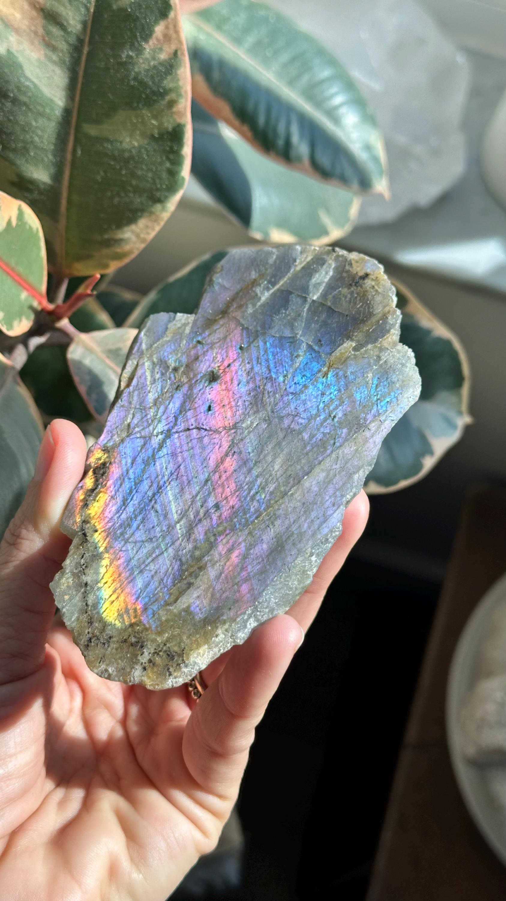 Flashy Labradorite Half Polished Slab, Transformation, Imagination, Will Power