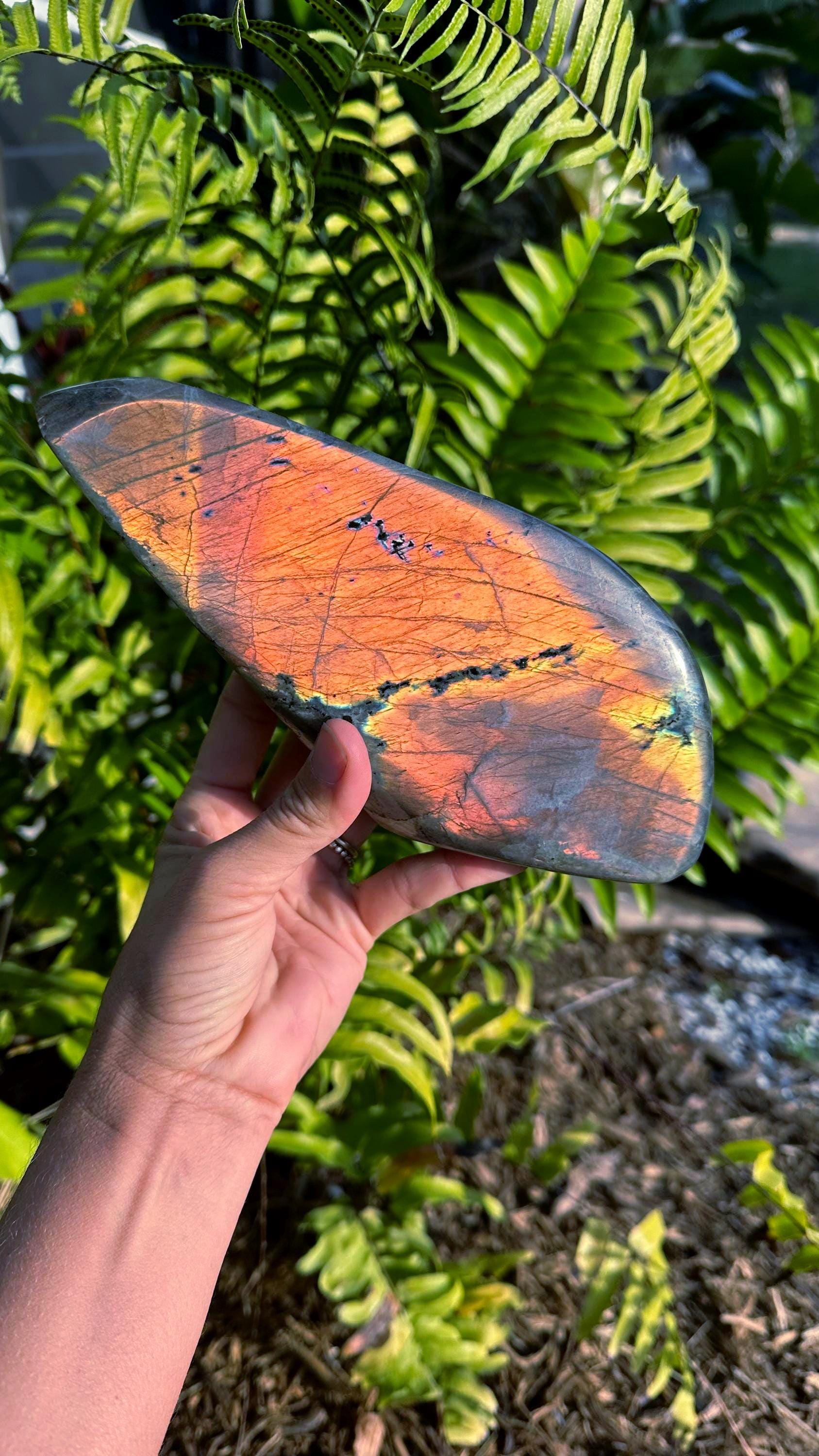 Gold Flash Labradorite Free Form: Healing Stone, 2lb 14.6oz
