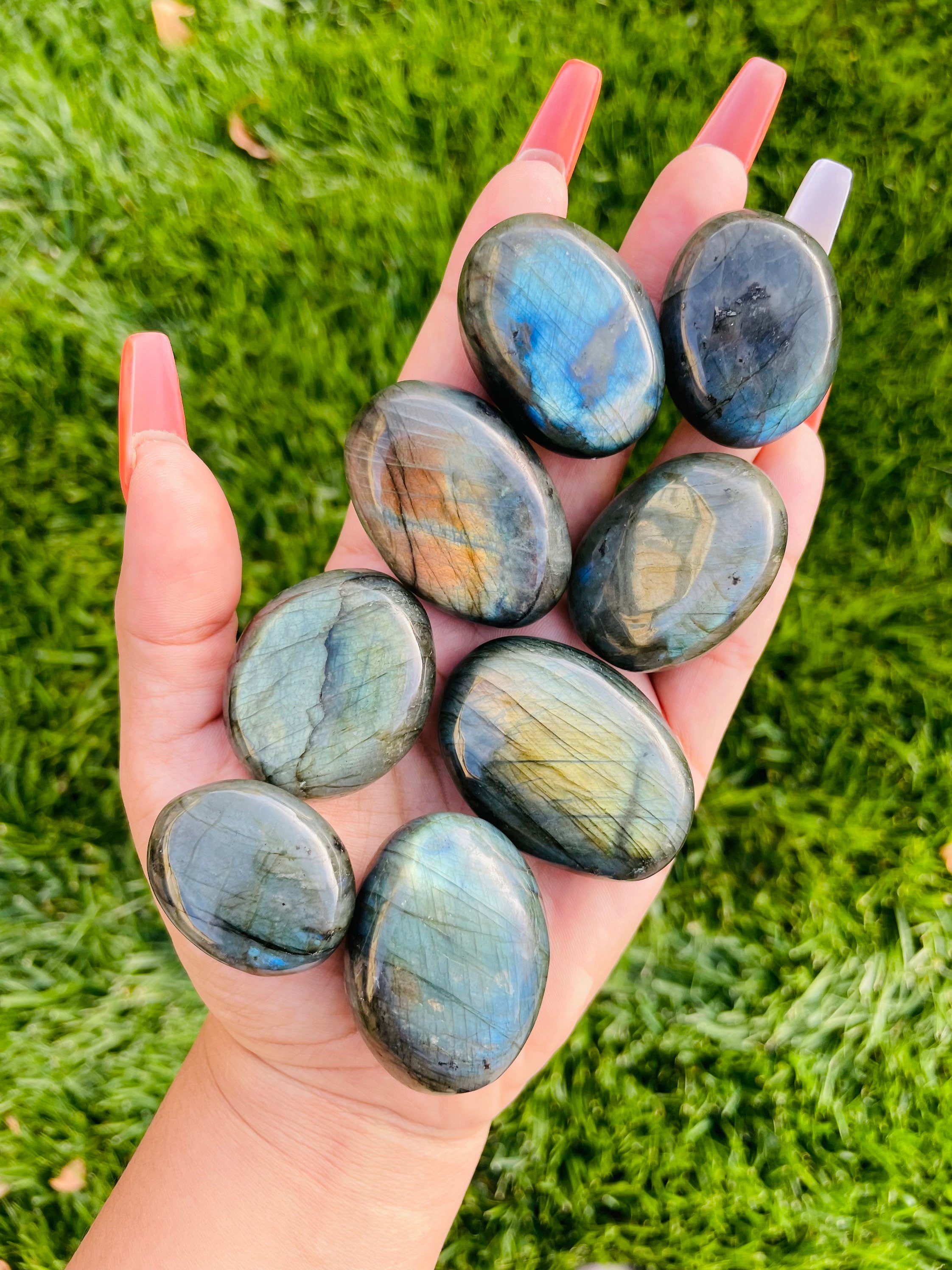 Mini Labradorite Palm Stone: Rainbow Flash Polished Crystal (40-60mm)