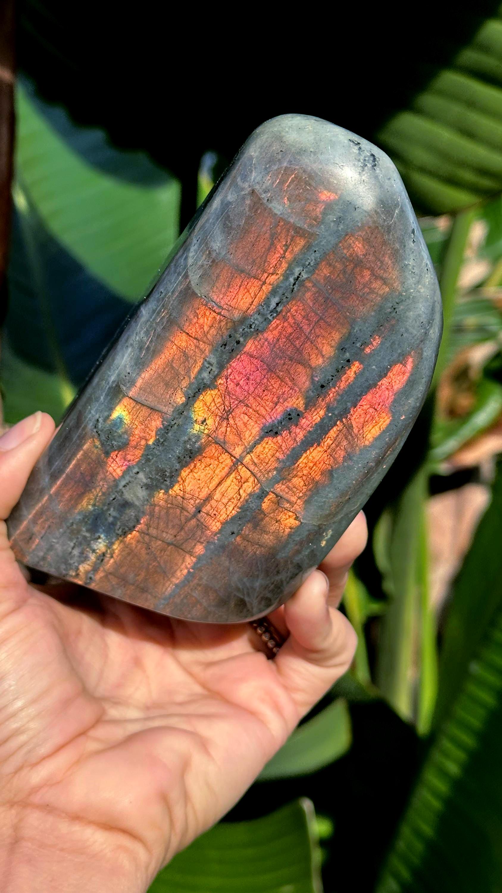 Pink And Gold Sunset Flash Labradorite Free Form: Healing Stone, 2lb 2oz