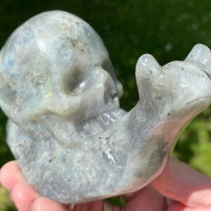 Labradorite Skull Snail Crystal Carving, Rainbow Flash, Large Figurine, Goth Aesthetic, Gift For Him, For Her, Cute Goth Decor, Living Room