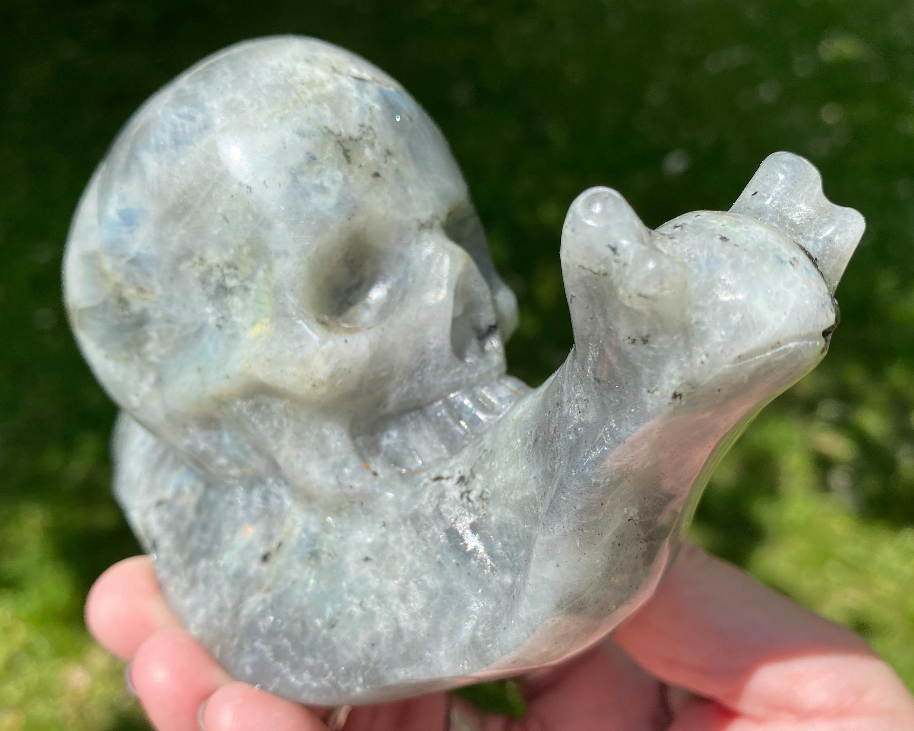 Labradorite Skull Snail Crystal Carving, Rainbow Flash, Large Figurine, Goth Aesthetic, Gift For Him, For Her, Cute Goth Decor, Living Room