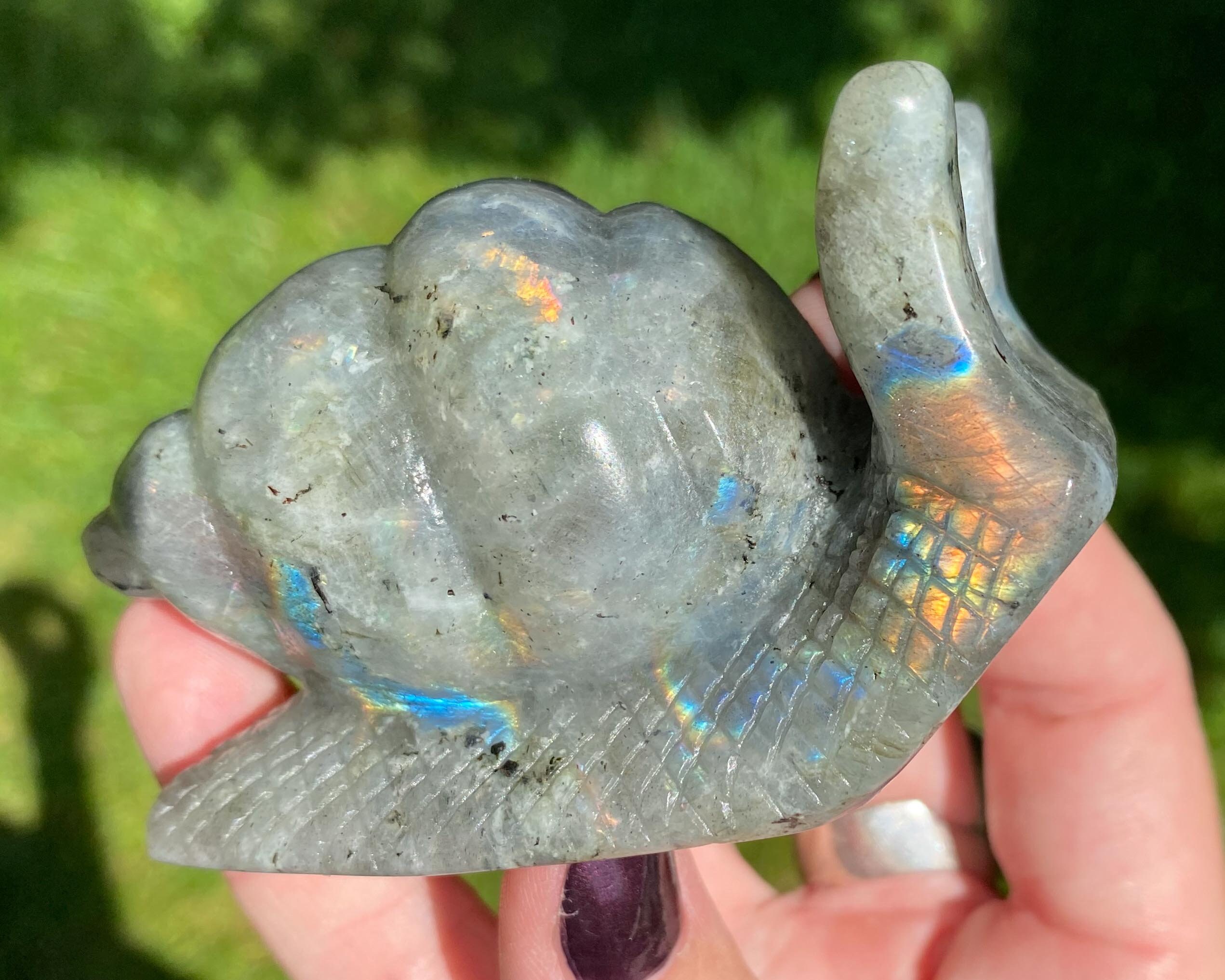 Labradorite Snail Carving With Rainbow Flash, Large Crystal Figurine, Living Room Decor, , Birthday , For Him #2
