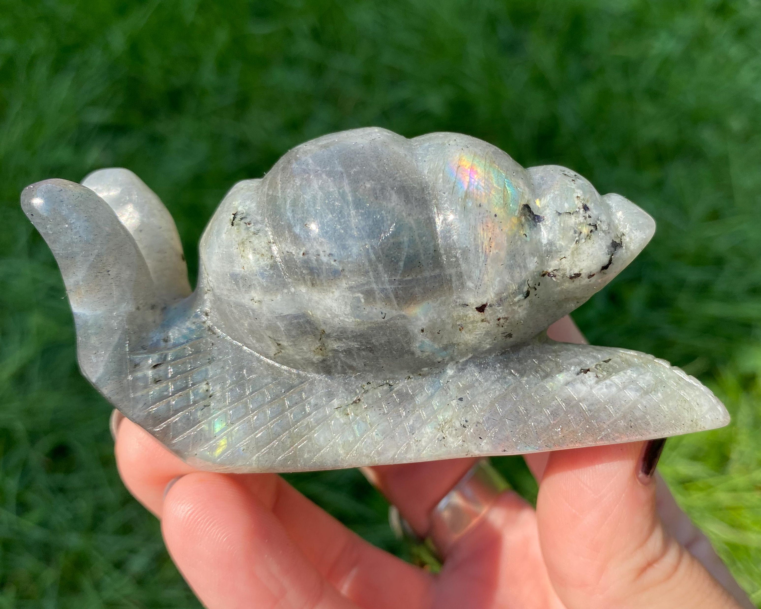 Labradorite Snail, Crystal Carving, Pink Purple Blue Rainbow Flash, Large Snail Figurine, Rainbow Snail #4