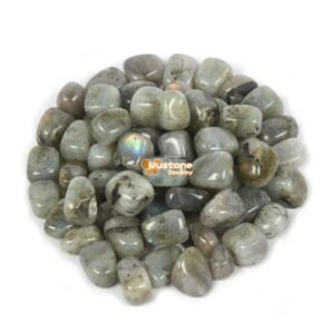 100 Grams Labradorite Tumbled Polished Natural Crystal Healing Pocket Stones Rock Collection 100 Grams Labradorite Tumbled Polished Natural Crystal Healing Pocket Stones Rock Collection