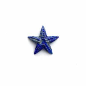 Lapis Star Fish Carving Loose Gemstone, 21x21 Mm, Lapis Jewelry Making Gemstone, Lapis Carving, Star Fish Carving, Carving Gemstone, 1 Piece Lapis Star Fish Carving Loose Gemstone, 21x21 Mm, Lapis Jewelry Making Gemstone, Lapis Carving, Star Fish Carving, Carving Gemstone, 1 Piece