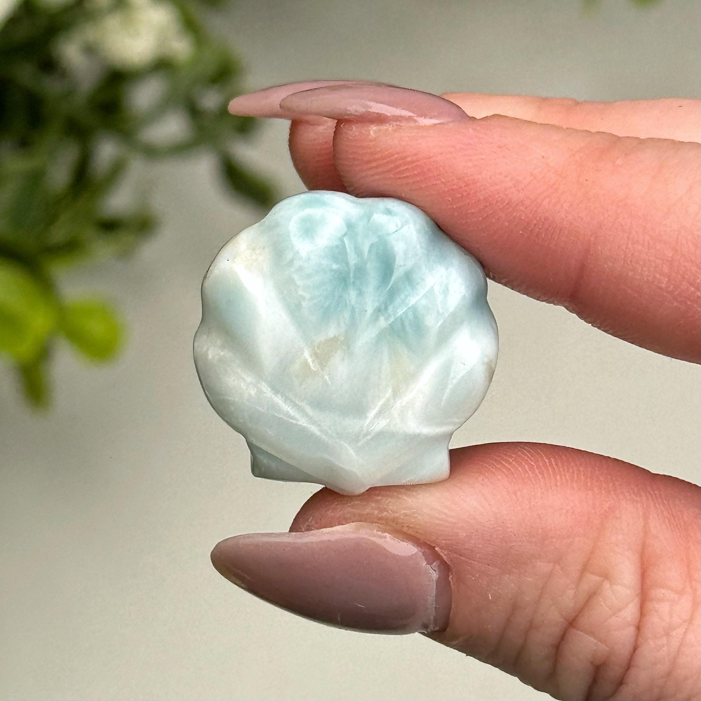 Larimar Shell | 7g | - #2 (polished Blue Crystal Carving, Throat Chakra, Peace, Ocean) Larimar Shell | 7g | - #2 (polished Blue Crystal Carving, Throat Chakra, Peace, Ocean)