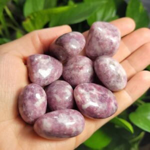 Lepidolite Crystal - Polished Lepidolite - Lepidolite Stone - Lepidolite Specimen - Natural Lepidolite - Purple Lepidolite