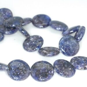 20mm Purple Blue Lepidolite Gemstone Grade Aa Flat Round Loose Beads 16 Inch Full Strand (90188323-658)