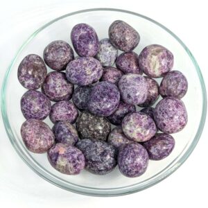 Lepidolite .8 - 1.3" Tumbled Stone #lv5850