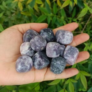 Lepidolite Tumbled Stones