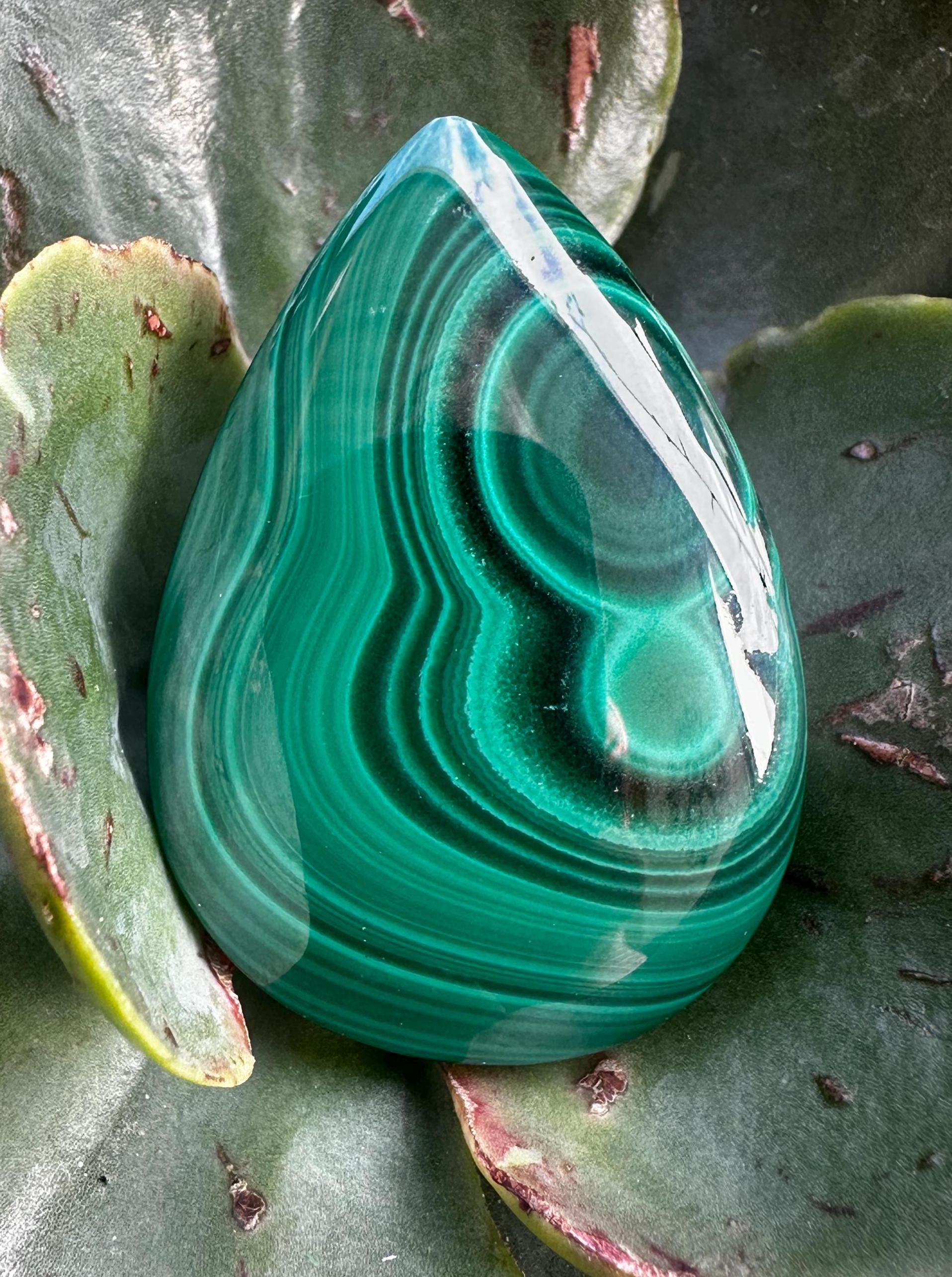Polished Malachite Cabochon: Transformation Stone