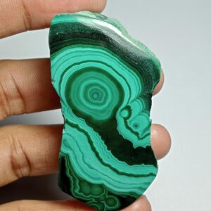 Malachite Slice Cabochon: 215 Cts. Loose Gemstone