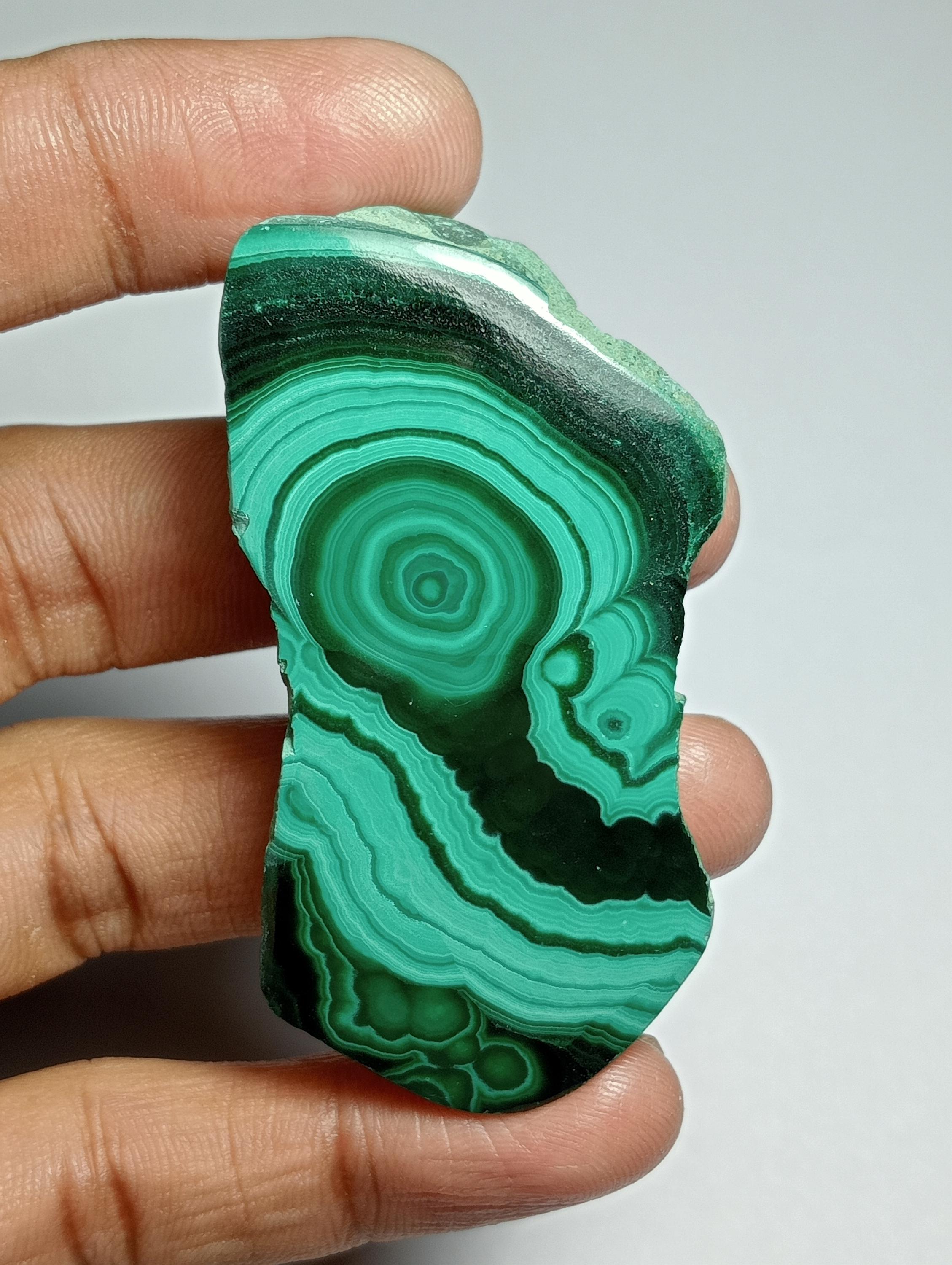Malachite Slice Cabochon: 215 Cts. Loose Gemstone