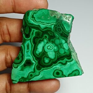 Malachite Slice Cabochon: 288 Cts Semi Precious Gemstone