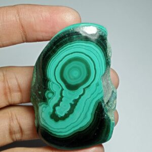 Malachite Slice Cabochon: 302 Cts. Loose Gemstone