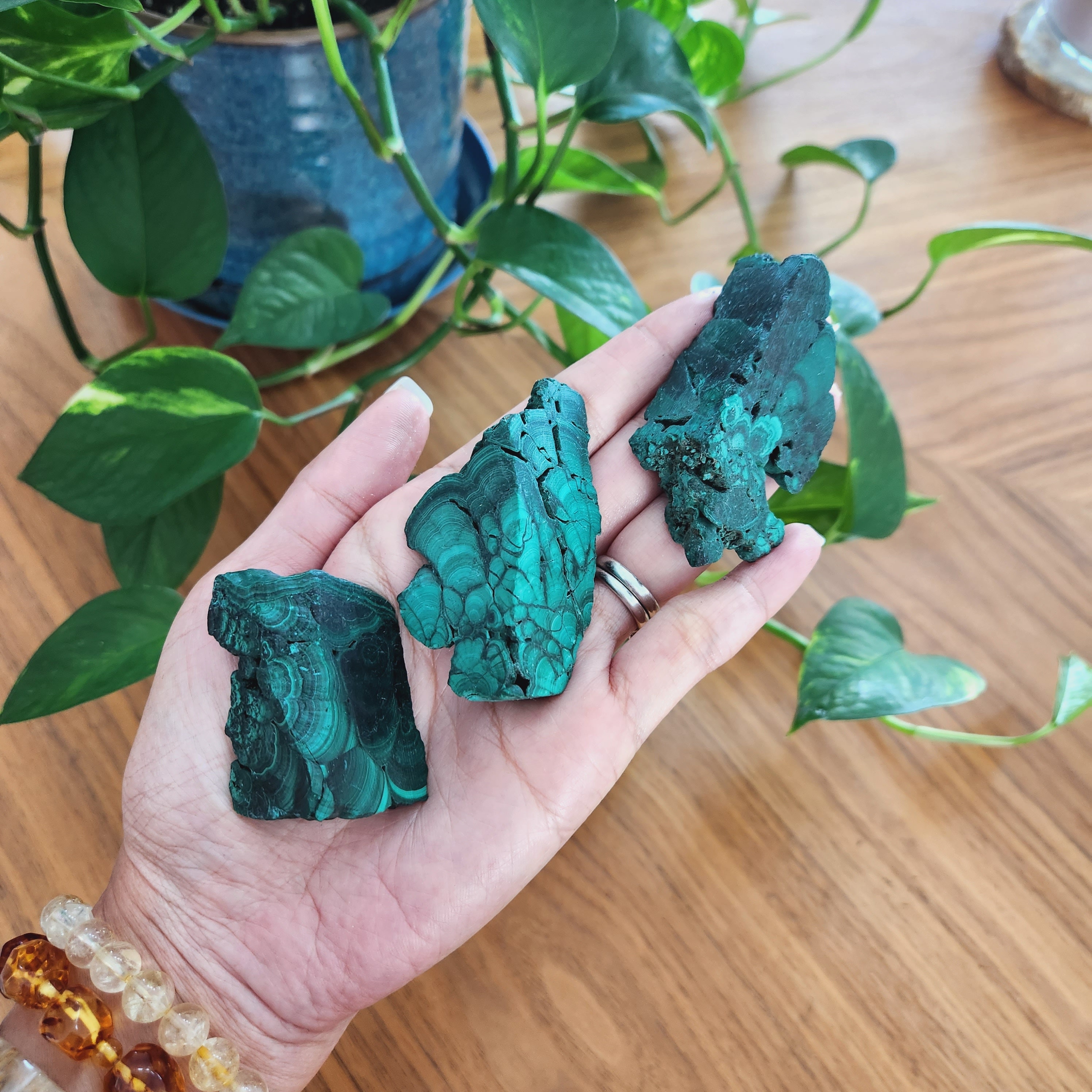 Malachite Freeform• Natural Malachite Raw • Small Raw Malachite Crystal • Malachite Nuggets • Crystal Gift, Alter Crystal Malachite Freeform• Natural Malachite Raw • Small Raw Malachite Crystal • Malachite Nuggets • Crystal Gift, Alter Crystal