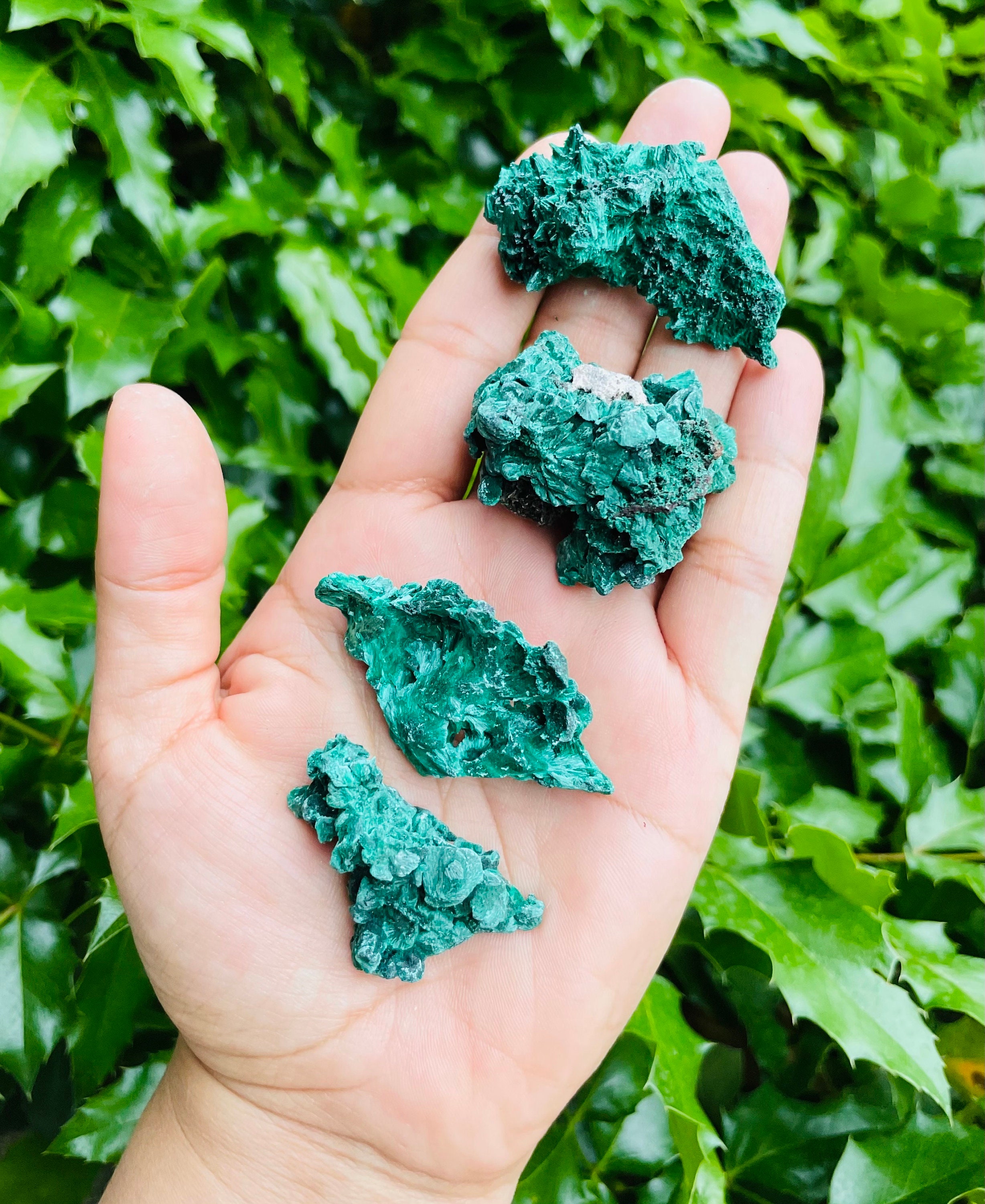 Velvet Malachite Crystal (1) One Rough Malachite Green Raw Malachite Fibrous Cluster Natural Mineral Gemstone Raw Crystal African Congo