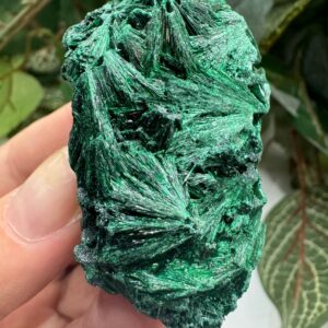 Velvet Malachite Mineral Specimen, Raw Malachite, Fibrous Malachite, Silky Malachite, Gifts
