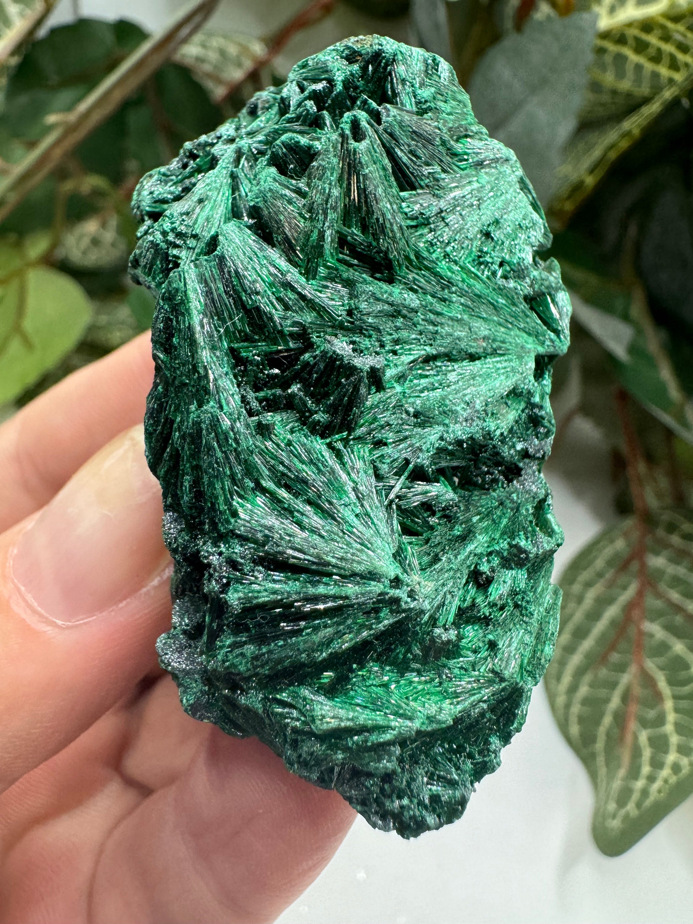 Velvet Malachite Mineral Specimen, Raw Malachite, Fibrous Malachite, Silky Malachite, Gifts
