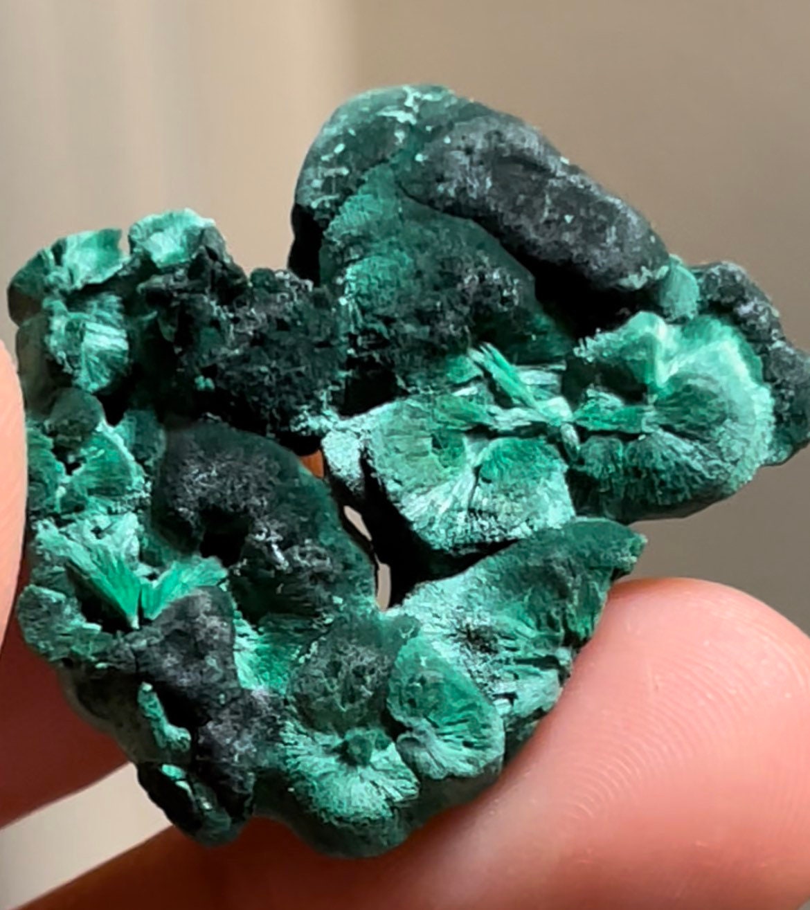 Velvety Cats Eye Malachite Sparkly Raw Malachite Natural Raw Minerals ~ Natural Raw Mineral Collectors Specimens Mc63