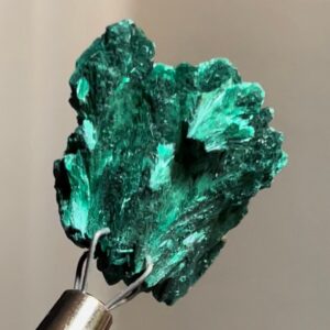 Velvety Fibrous Malachite Sparkly Raw Malachite Natural Raw Minerals ~ Natural Raw Mineral Specimens MC95