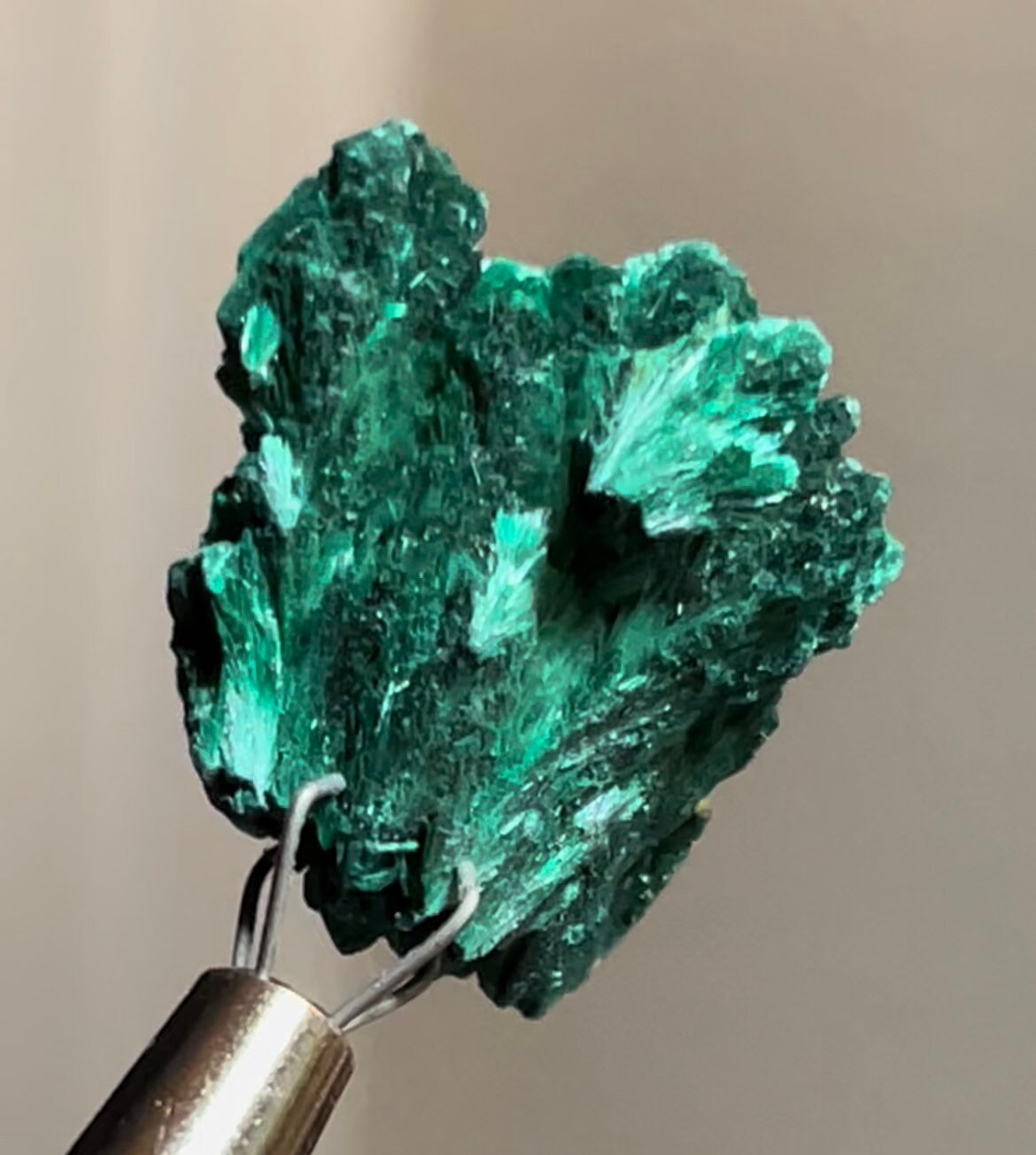 Velvety Fibrous Malachite Sparkly Raw Malachite Natural Raw Minerals ~ Natural Raw Mineral Specimens Mc95 Velvety Fibrous Malachite Sparkly Raw Malachite Natural Raw Minerals ~ Natural Raw Mineral Specimens Mc95