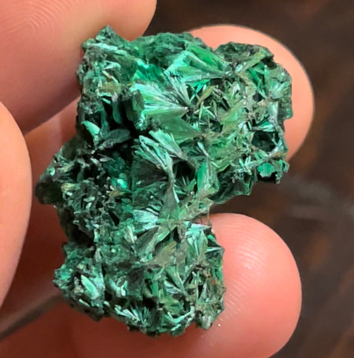 Velvety Fibrous Malachite Sparkly Raw Malachite Natural Raw Minerals ~ Natural Raw Mineral Specimens Mc97