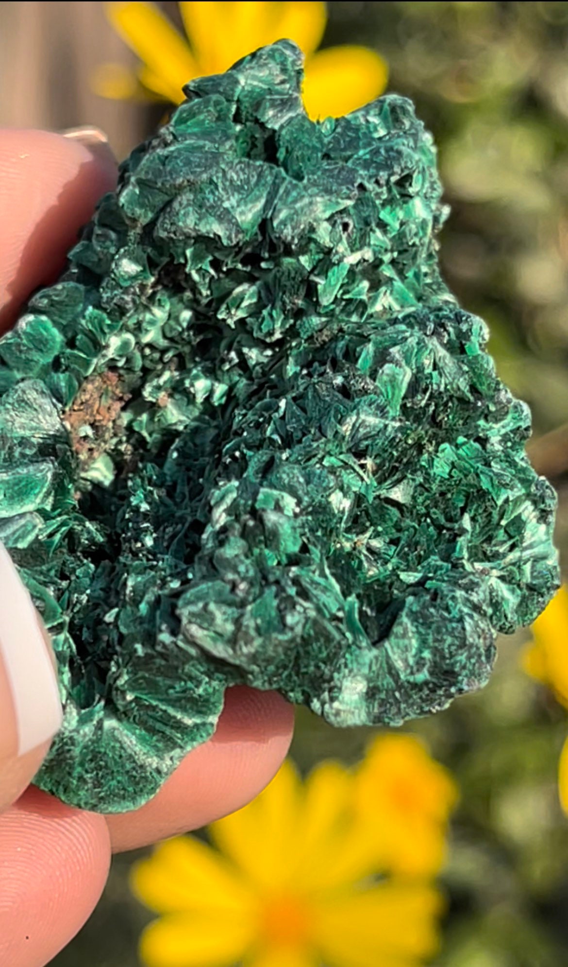 Velvety Fibrous Malachite Specimen | Raw Crystal, Hunan China Velvety Fibrous Malachite Specimen | Raw Crystal, Hunan China