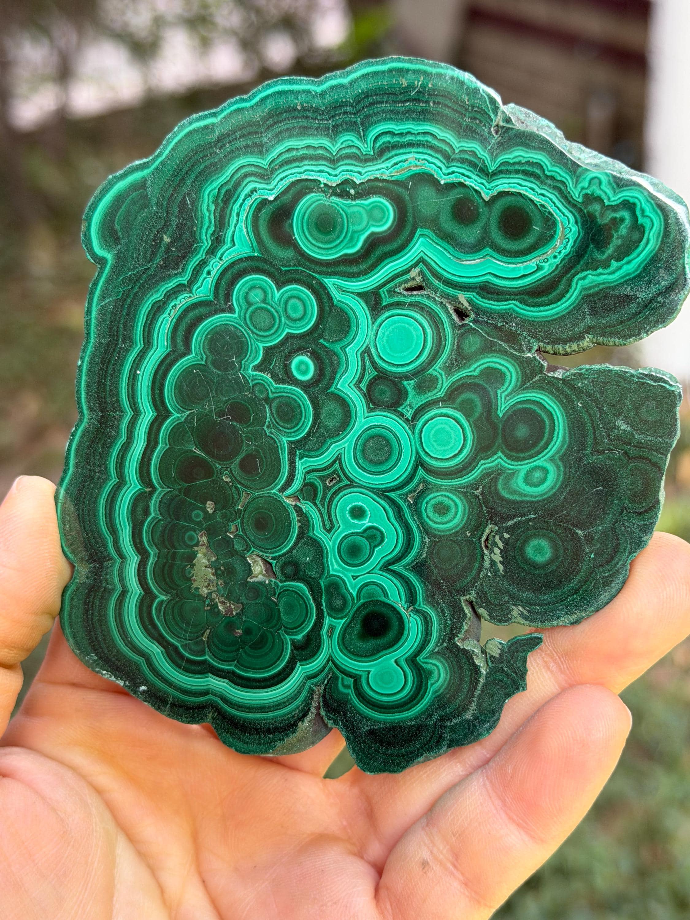 You Pick!best Malachite Slices -polished /healing Crystals/malachite Flower/malachite Cloud/gift/specimen You Pick!best Malachite Slices -polished /healing Crystals/malachite Flower/malachite Cloud/gift/specimen