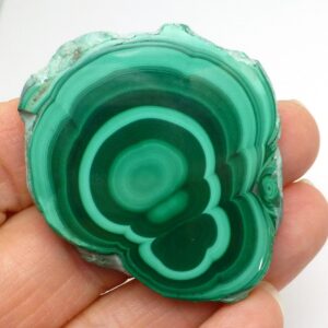 148 Carats Banded Malachite Bullseye Slice Slab For Use In Jewelry Or Lapidary Stone Cutting Bright Green Gemstone