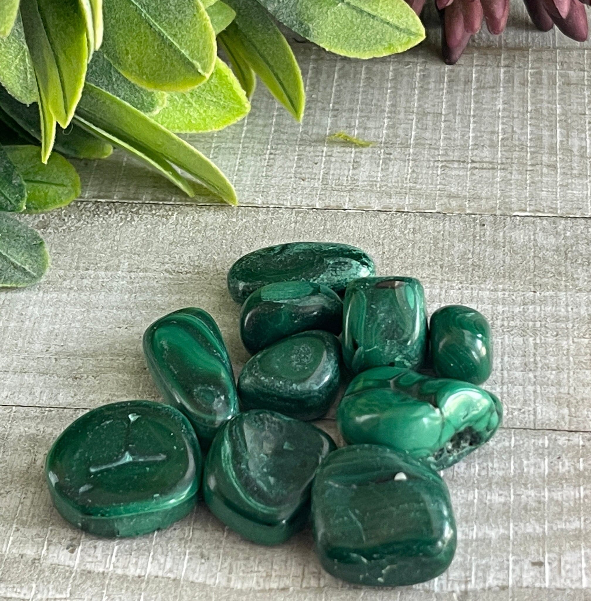 Authentic Malachite Tumbled Stone | Crystal | Healing Crystal