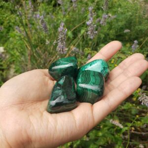 LARGE Malachite Tumbles 41-50g LARGE Malachite Tumbles 41-50g