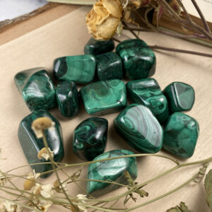 Polished Malachite Tumbles ~ Green Malachite from the Congo - Malachite Tumbles ~ Abundance & Transformation Crystals ~ Copper Minerals Polished Malachite Tumbles ~ Green Malachite from the Congo - Malachite Tumbles ~ Abundance & Transformation Crystals ~ Copper Minerals