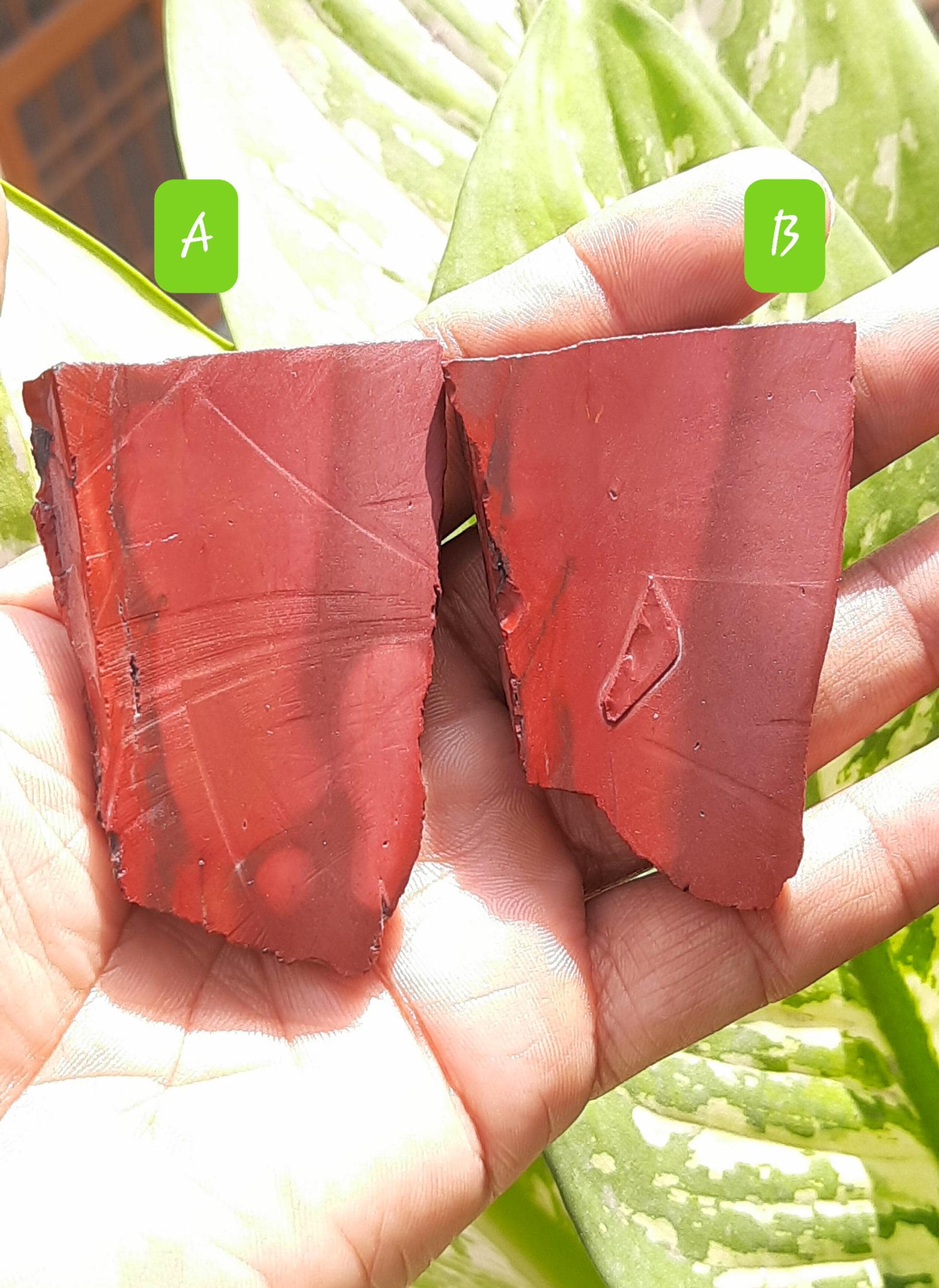 Rough Mookaite Jasper Slices: Raw Gemstone Specimens Rough Mookaite Jasper Slices: Raw Gemstone Specimens
