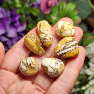 Brecciated Mookaite Jasper - Mookaite Crystal - Mookaite Jasper - Tumbled Mookaite - Mookaite Tumble - Mookaite Stone