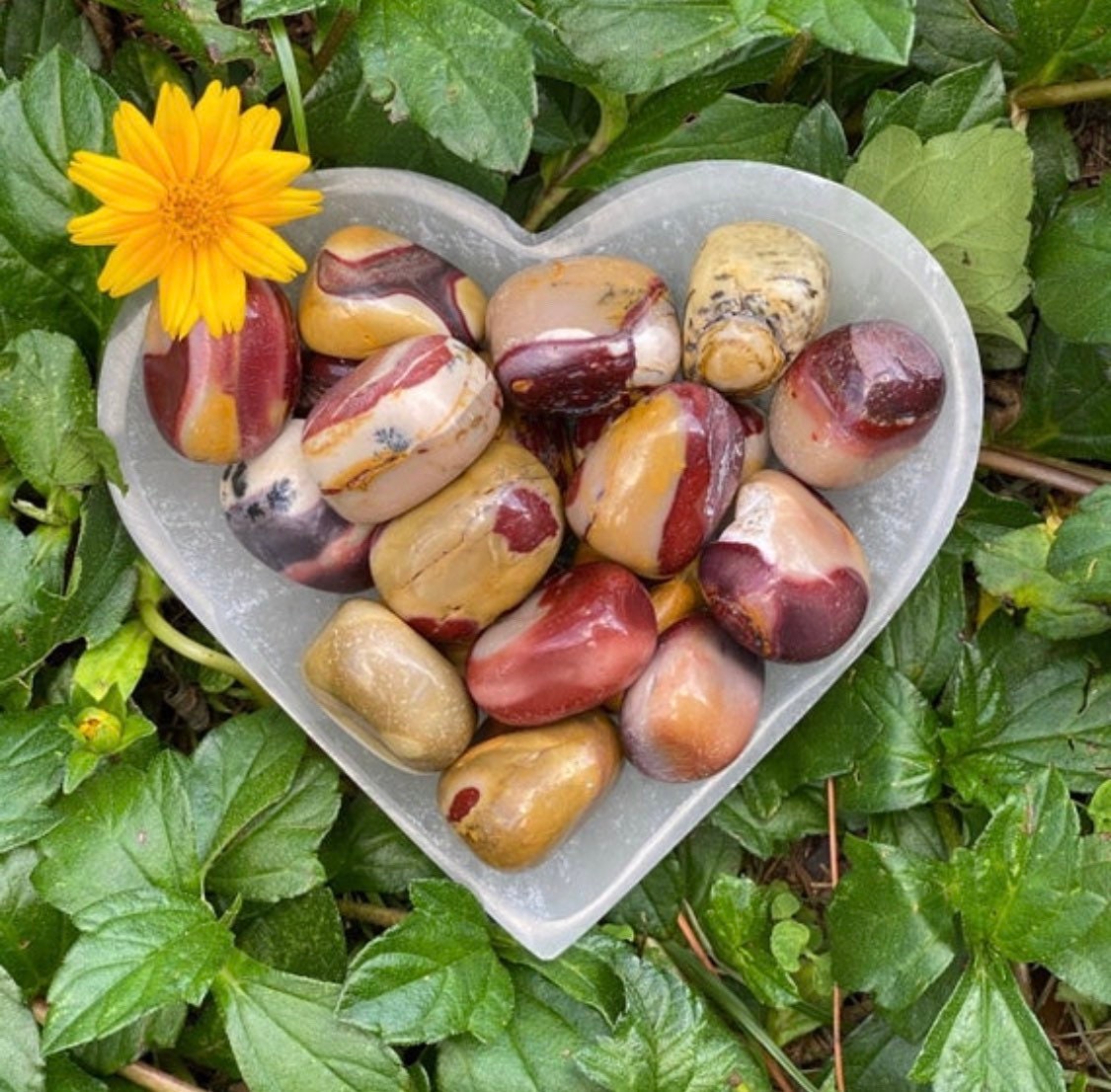 Mookaite Jasper Tumbled Stone: Polished Australian Crystal Mookaite Jasper Tumbled Stone: Polished Australian Crystal