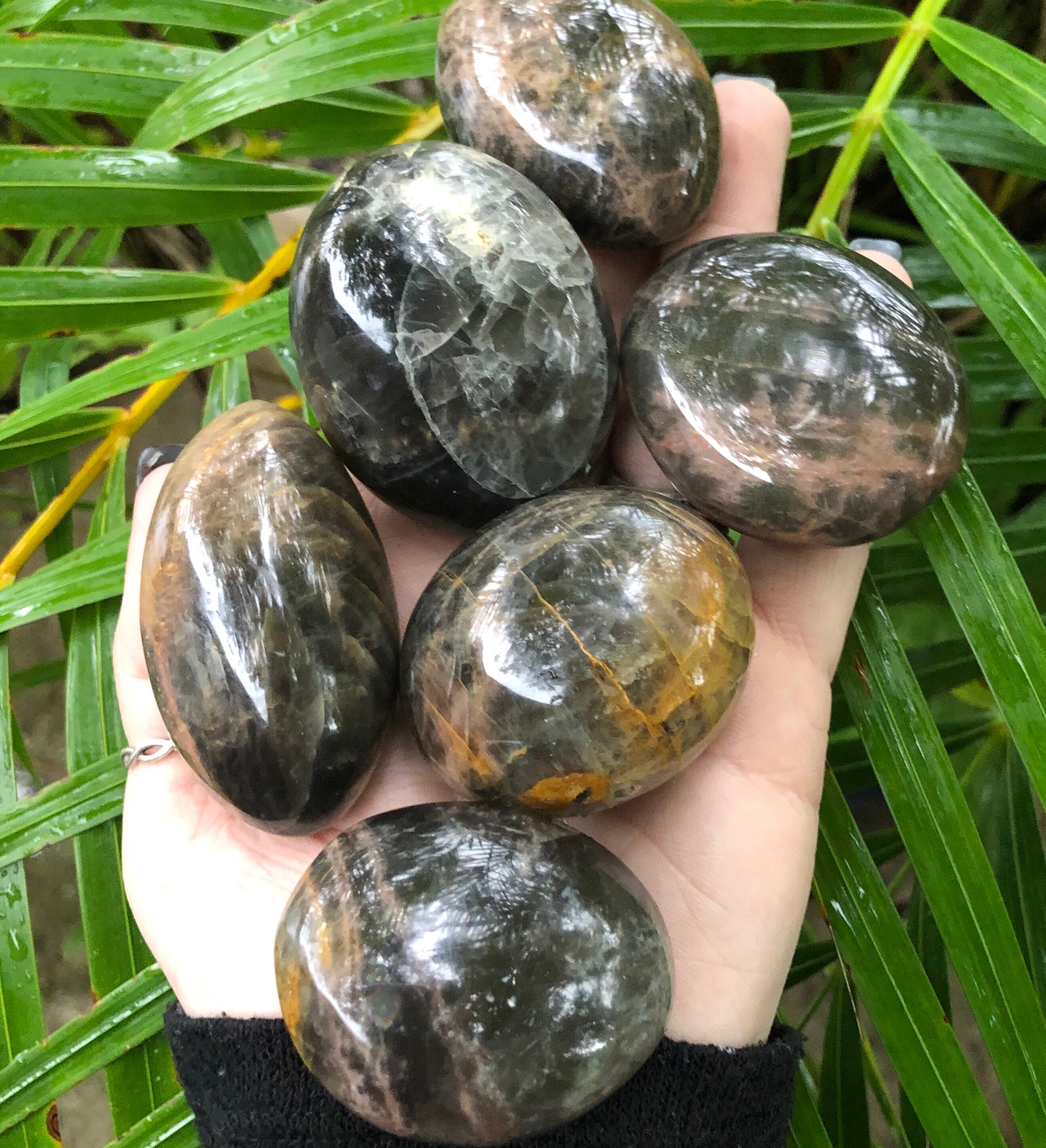 Black Moonstone, Black Moonstone Palm Stone, Qty. 1