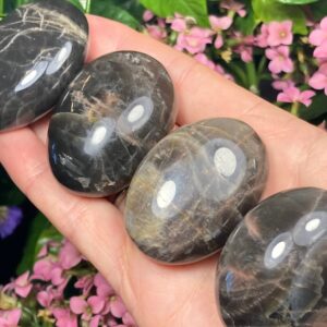Black Moonstone, Polished Moonstone Palm Stone