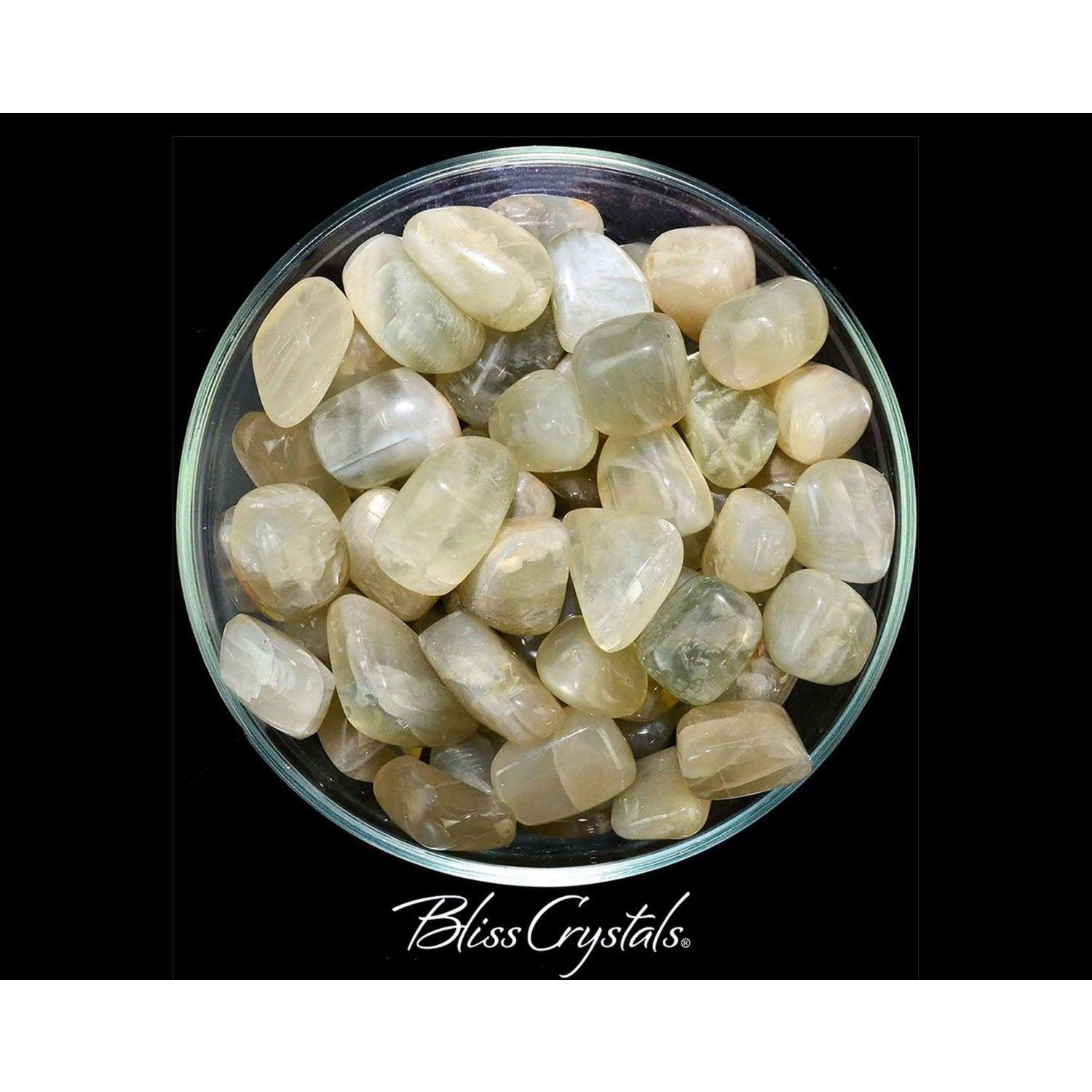 Green Moonstone Tumbled Stone Silver Flash Divine Feminine #gm01 Green Moonstone Tumbled Stone Silver Flash Divine Feminine #gm01